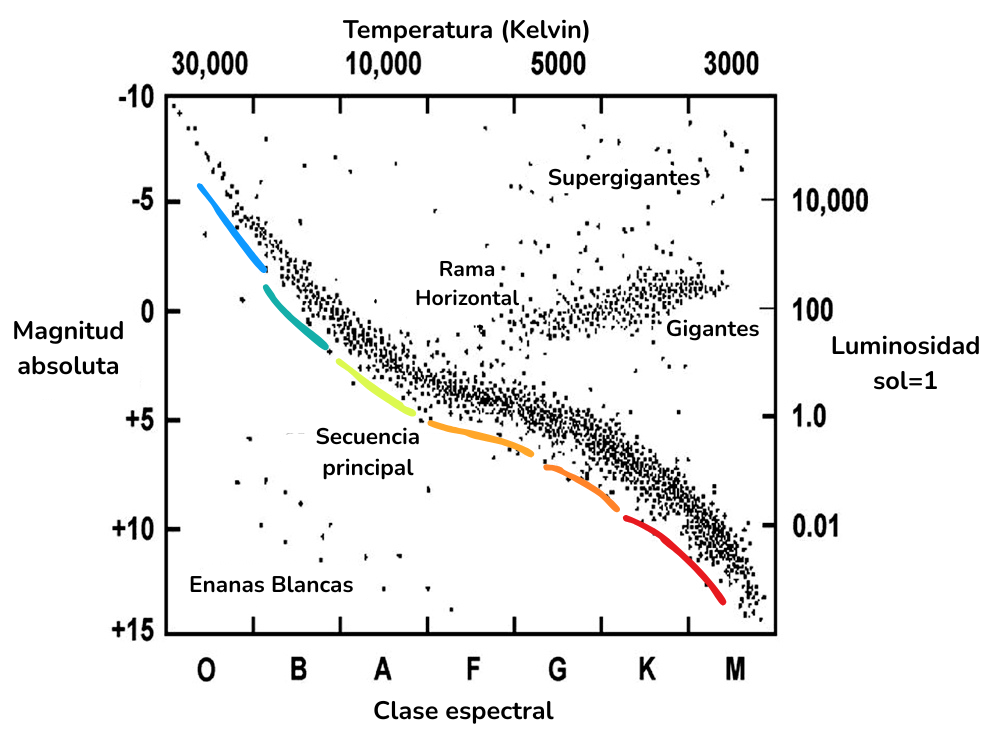 Diagrama color magnitud, o diagrama de Hertzsprung-Russell. Se muestra la luminosidad de estrellas de distinta temperatura. Luminosidad y magnitud (eje vertical) representan la energía liberada, mientras que el tipo espectral correlaciona con la temperatura (eje horizontal). Las estrellas que pueden convertirse en pulsares se ubican arriba a la izquierda, al principio de sus vidas. Poseen altas temperaturas y son muy luminosas. Diagrama que muestra un gran numero de estrellas, según su temperatura y luminosidad.